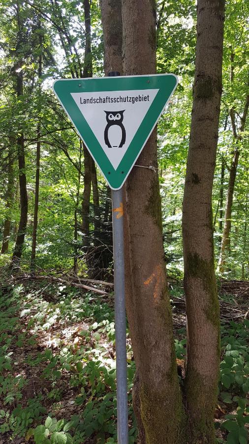 Schoener Weitblick Bad Sachsa Luaran gambar