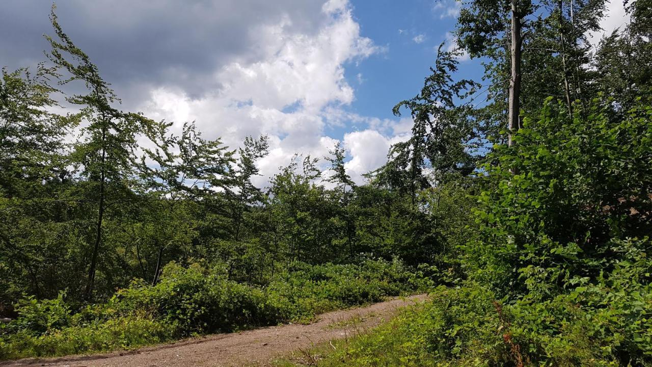 Schoener Weitblick Bad Sachsa Luaran gambar